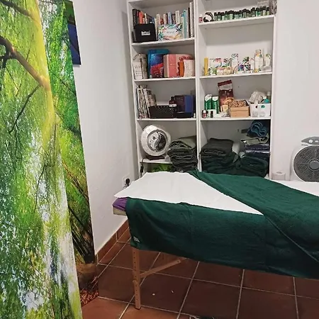 Проживание в семье Ascent At Alora *