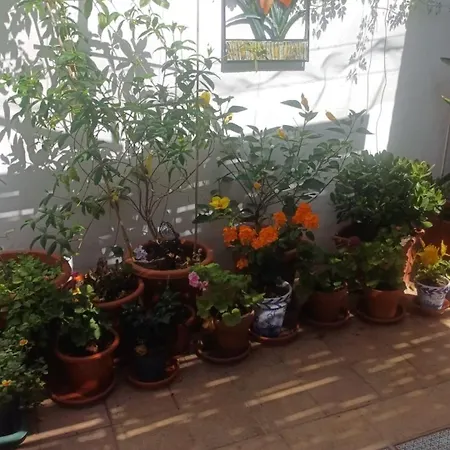 Ascent At Alora Homestay